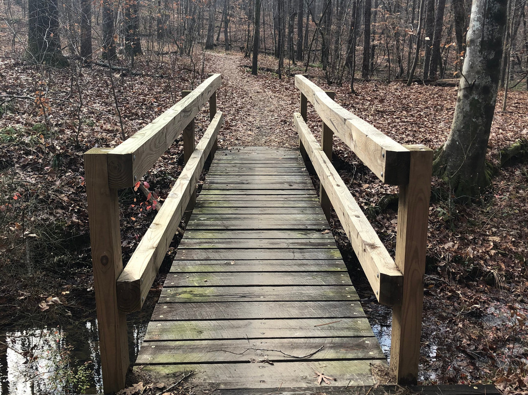 Oak Mountain State Park景点图片