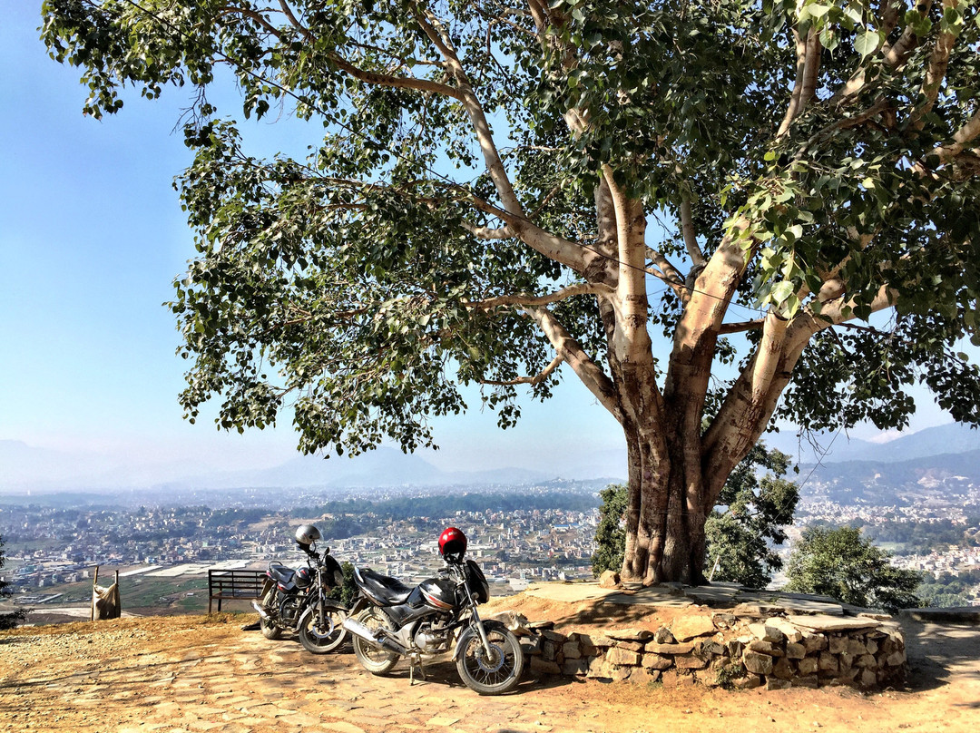 Changu Farm House主图