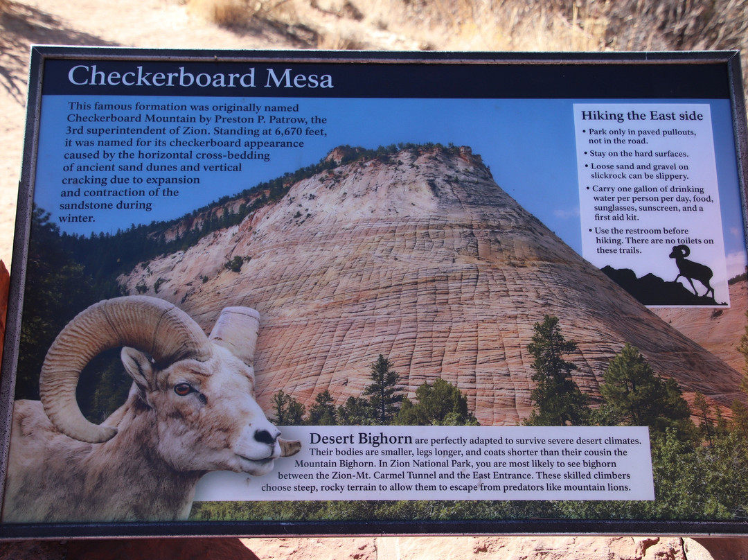 Checkerboard Mesa-锡安国家公园必去景点