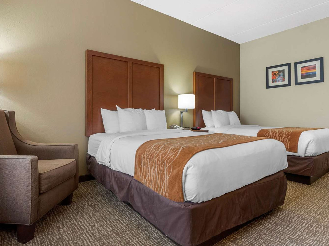 Comfort Inn Asheville Airport主图