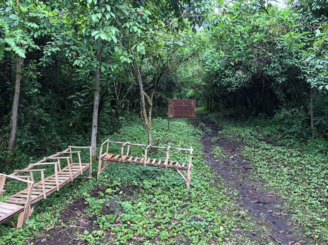 Nyiragongo Expedition-吉塞尼必去景点