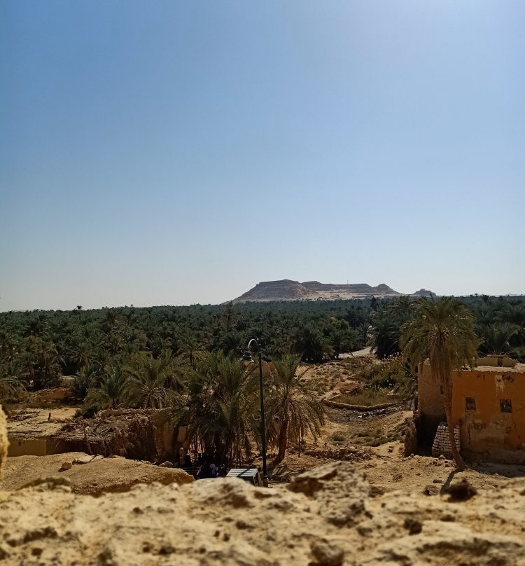 Temple of the Oracle of Amun / Aghurmi景点图片