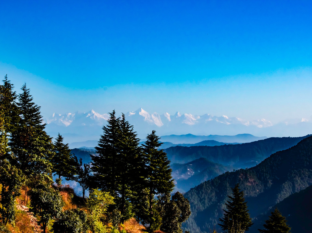 World Peace Gagar by Aadiva主图