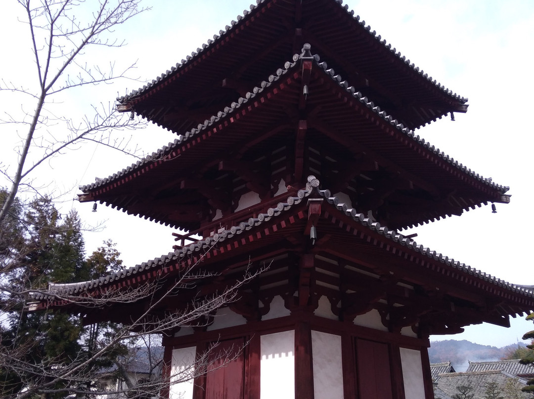 Horinji Temple景点图片