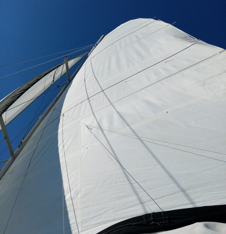 Zigzag Sailing景点图片