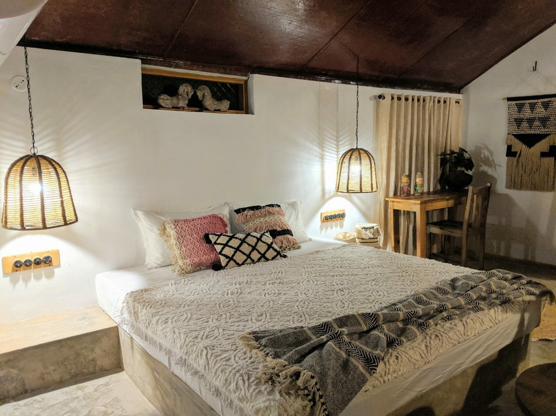 Sunsets and Palm Trees主图