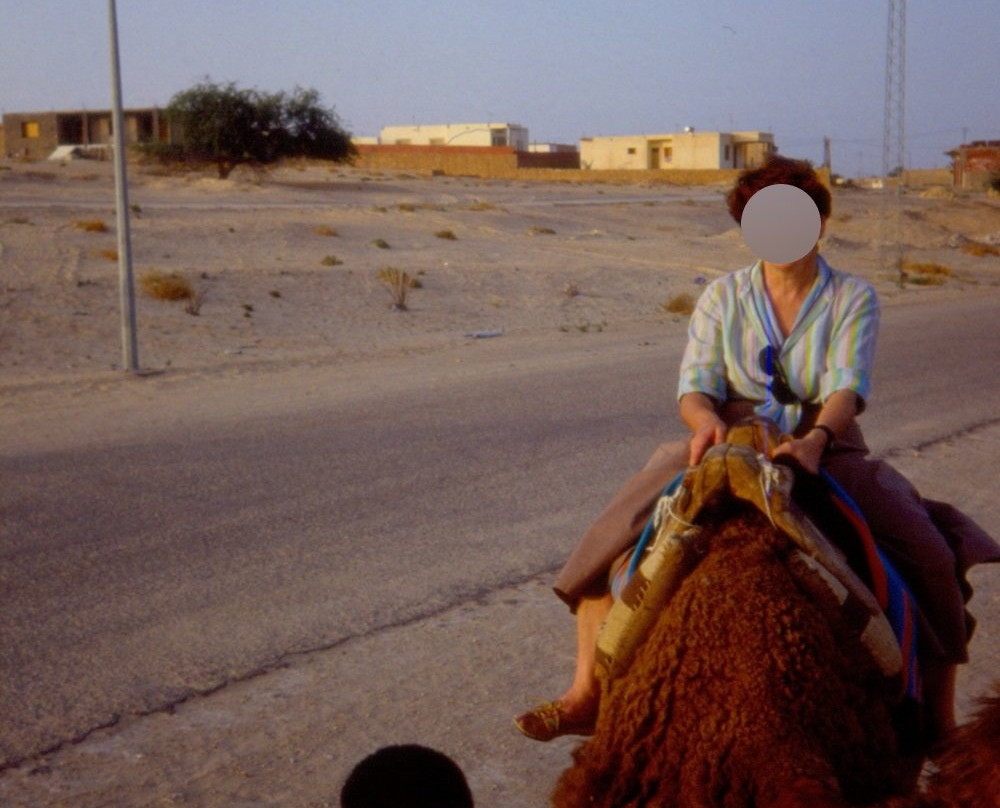 Tunisian Sahara景点图片