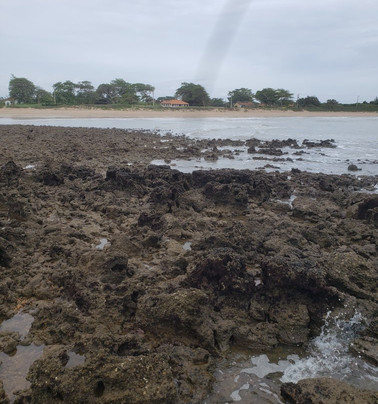 Manguinhos Beach-Sao Francisco De Itabapoana必去景点