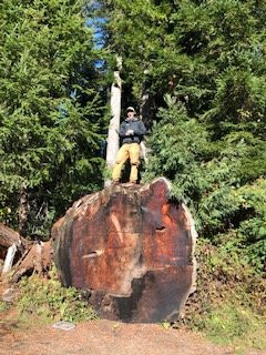 Redwood Adventures景点图片