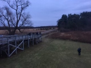 Jasper-Pulaski Fish and Wildlife Area-Medaryville必去景点