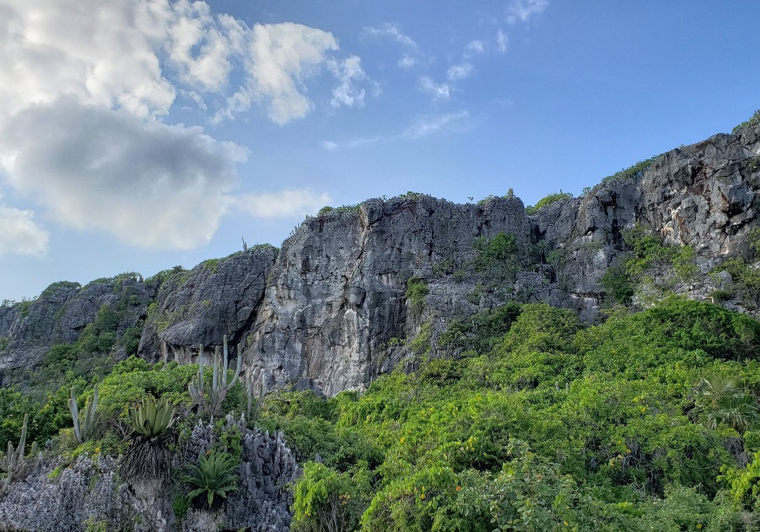 The Bluff-Cayman Brac必去景点