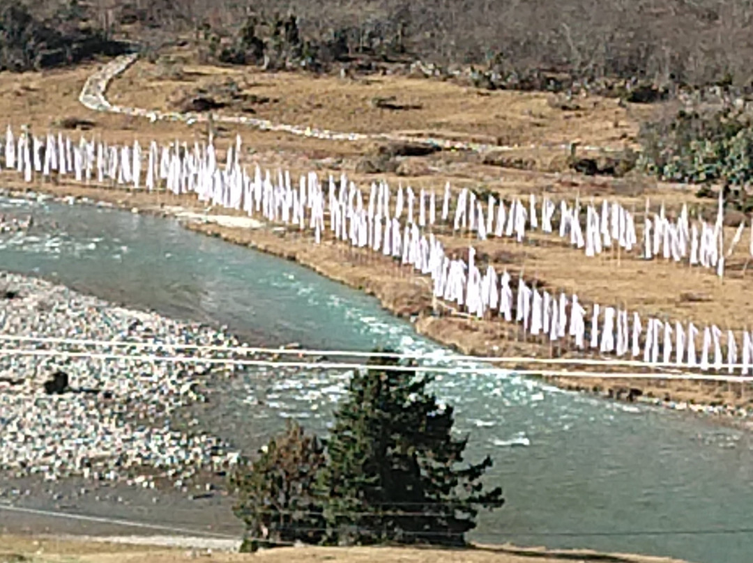 Thangu Valley-North Sikkim必去景点