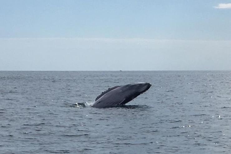 Salinas Bay Research Center-El Jobo必去景点