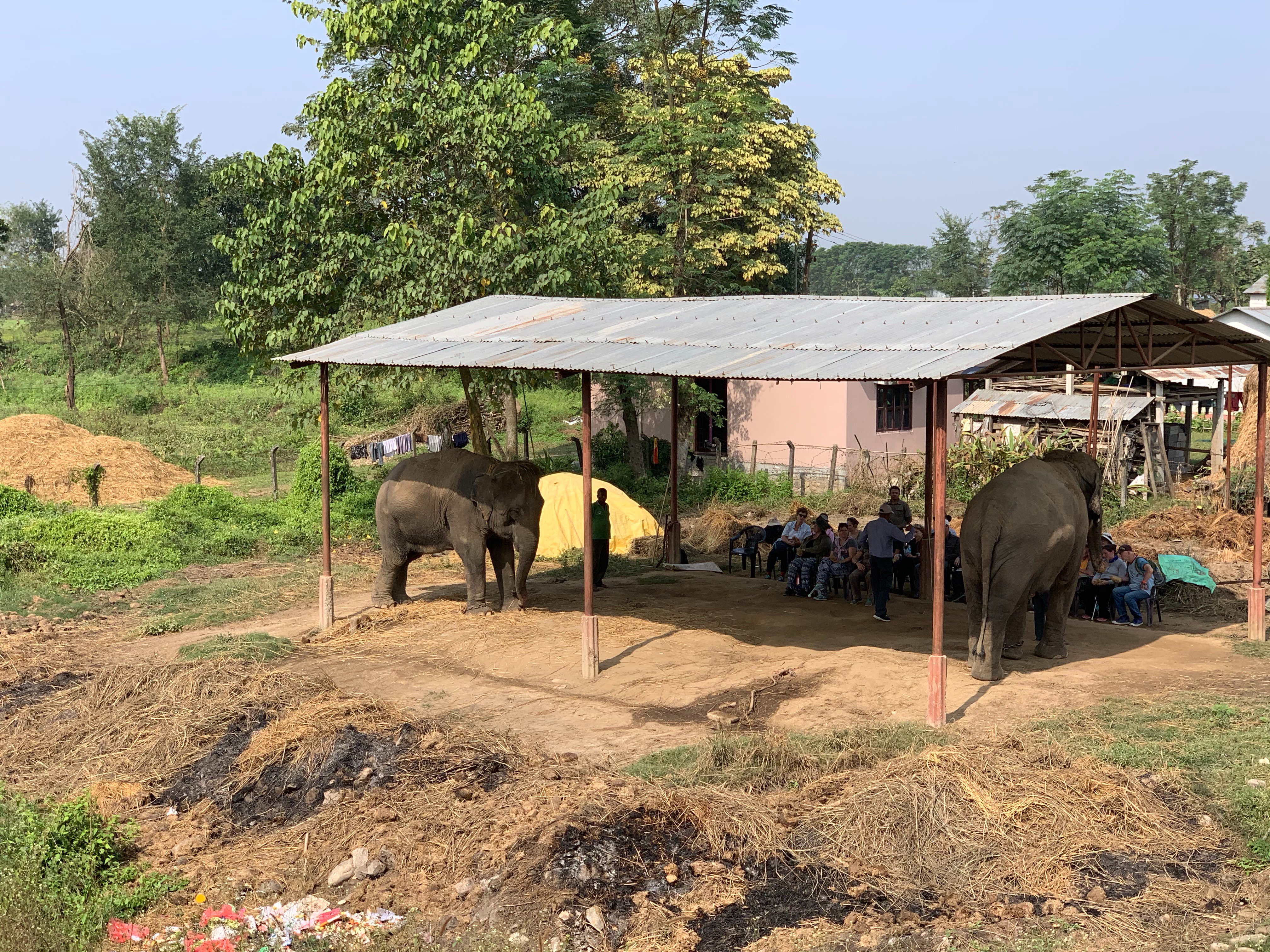 Kasara Chitwan-家庭/游戏区