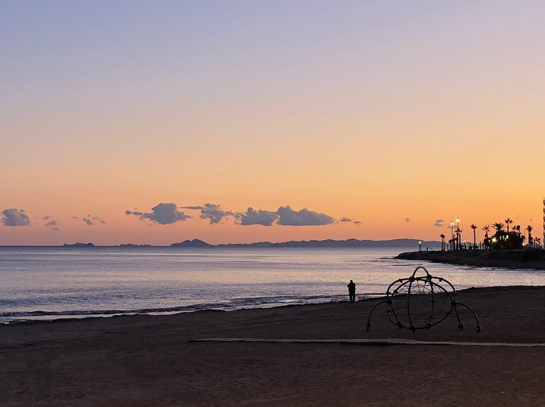 Playa de Los Locos景点图片