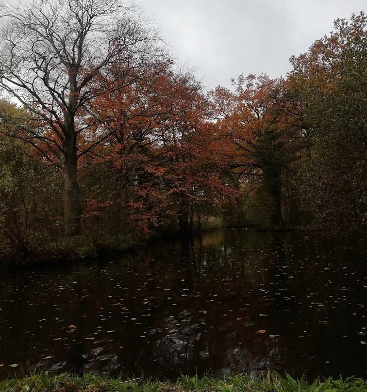 Landgoed Bredius Park-Woerden必去景点