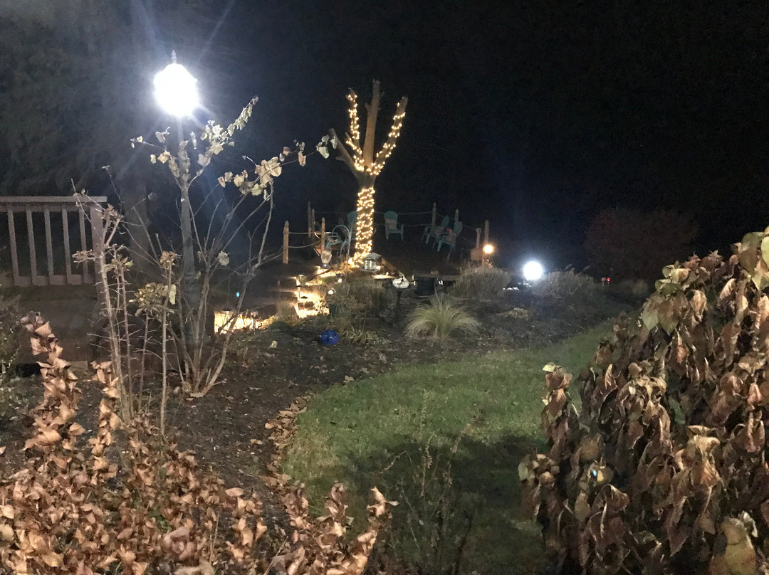 The Marshall House Bed & Breakfast主图