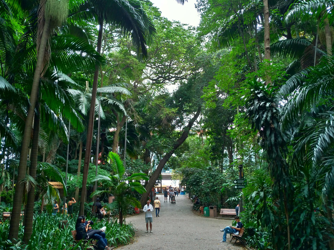 Tenente Siqueira Campos Park (Trianon)-圣保罗必去景点