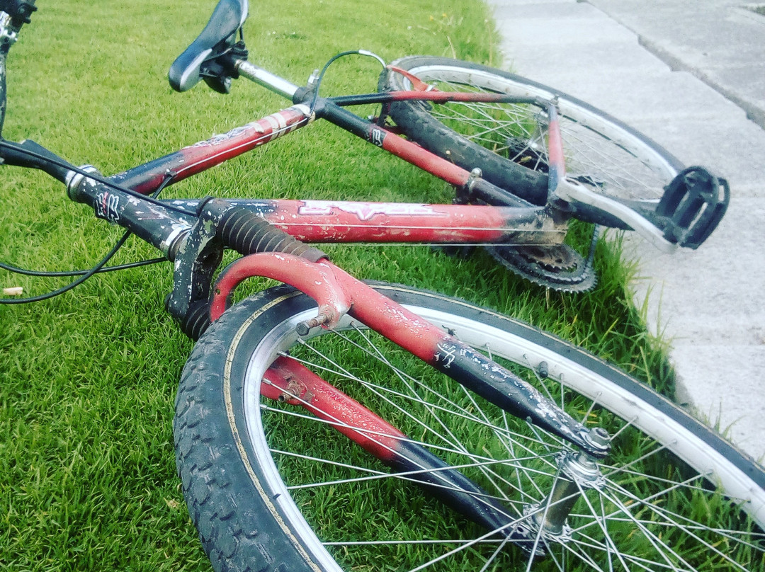 Parque La Carolina-基多必去景点