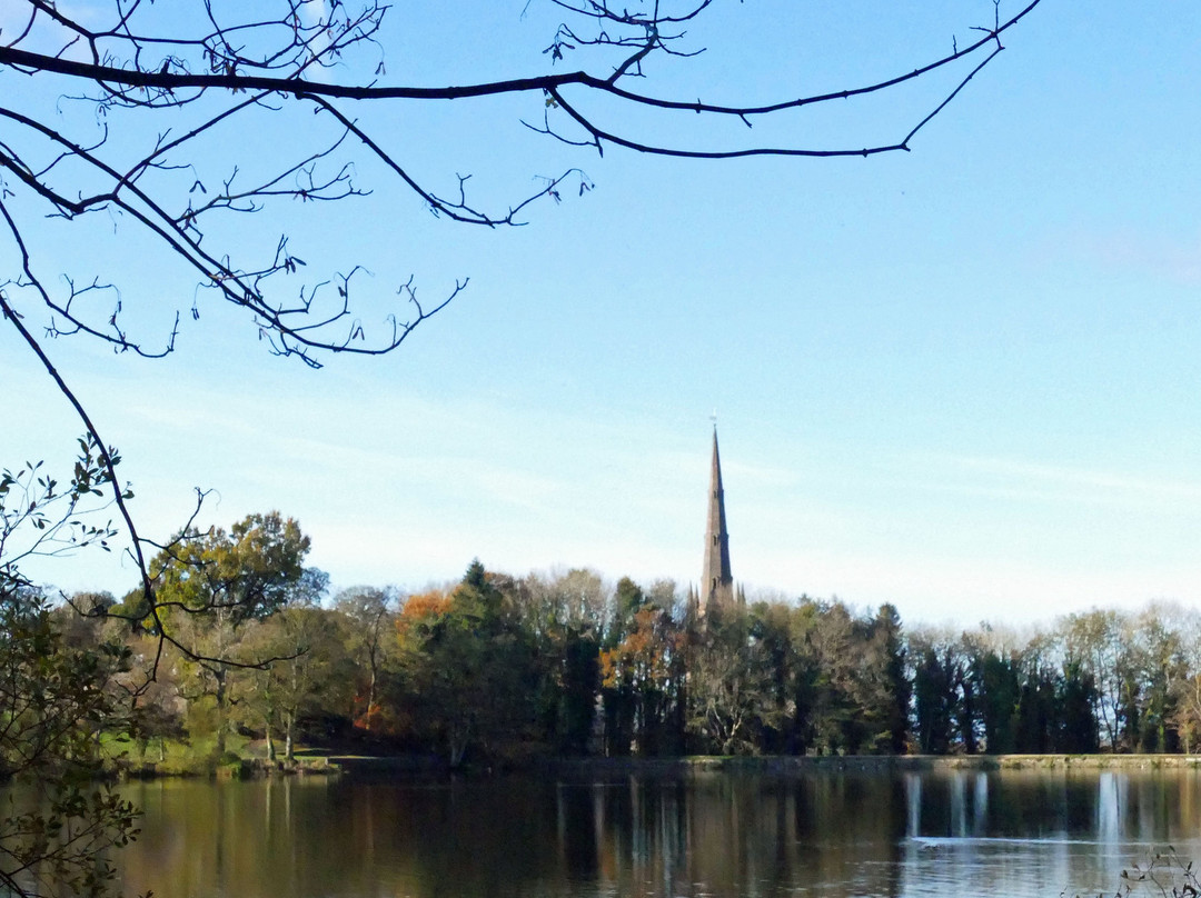 Hillsborough Forrest and Lake.景点图片