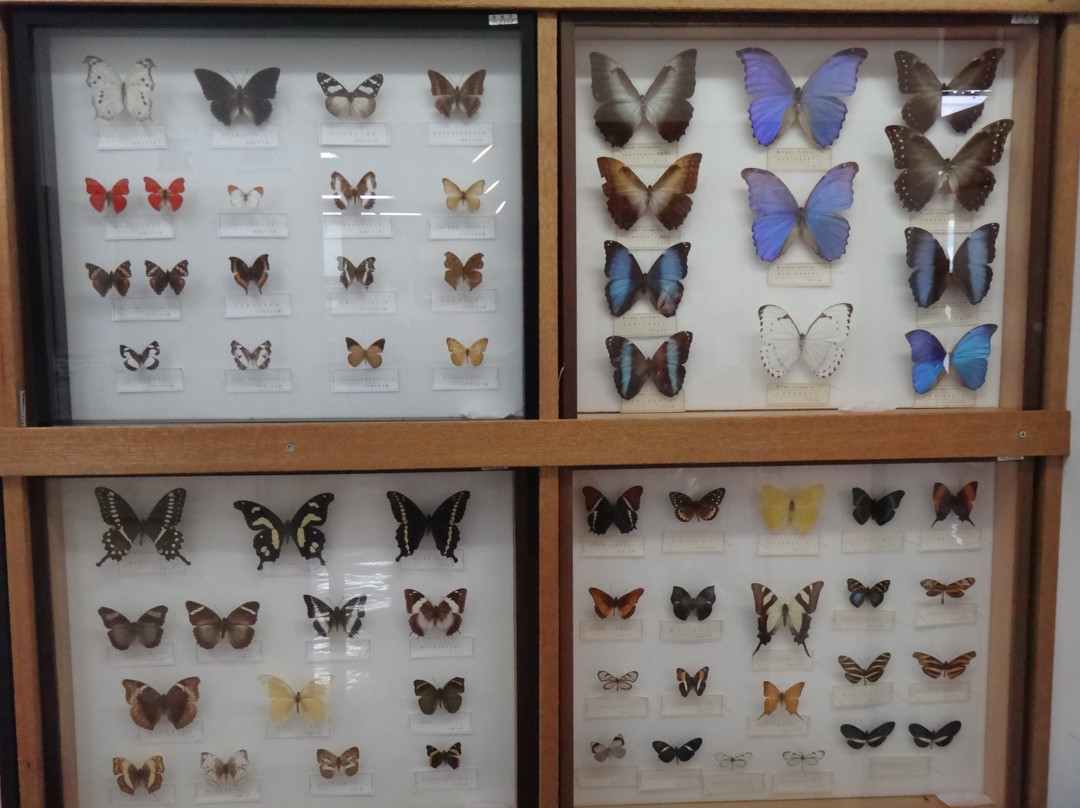 Engarucho Town Hall Local Museum-远轻町必去景点