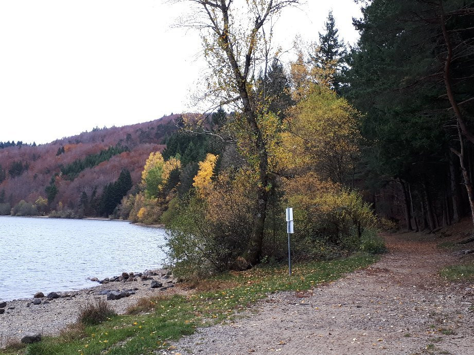 Le lac d'Issarlès景点图片