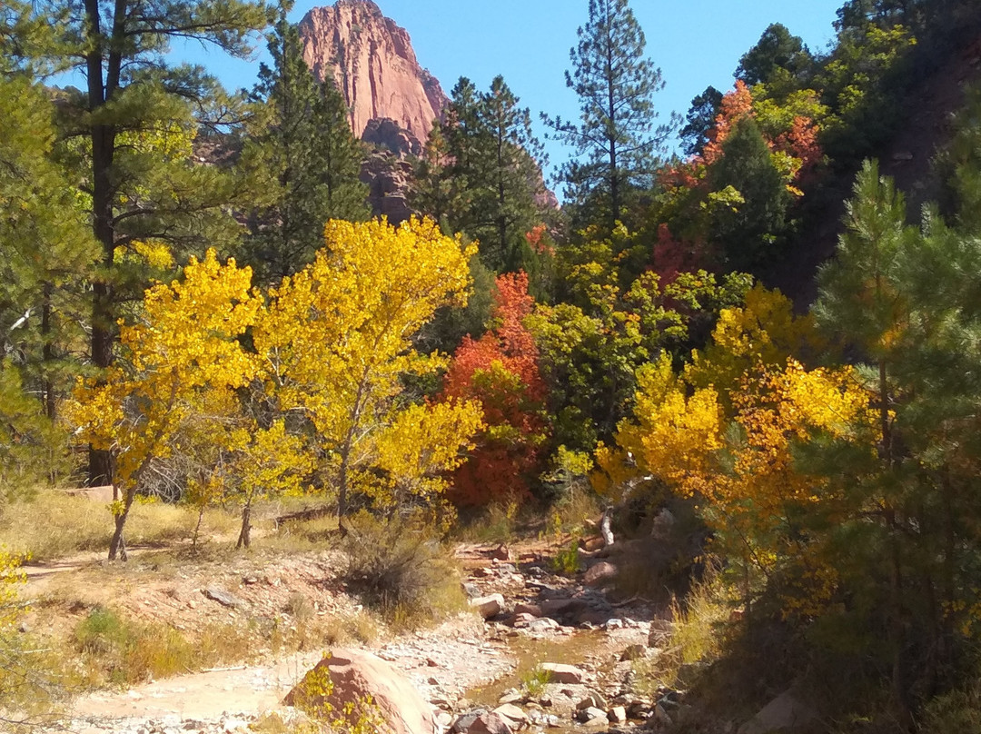 Taylor Creek-锡安国家公园必去景点