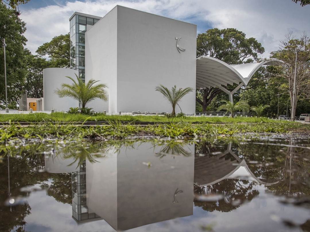 Museo de la Libertad景点图片