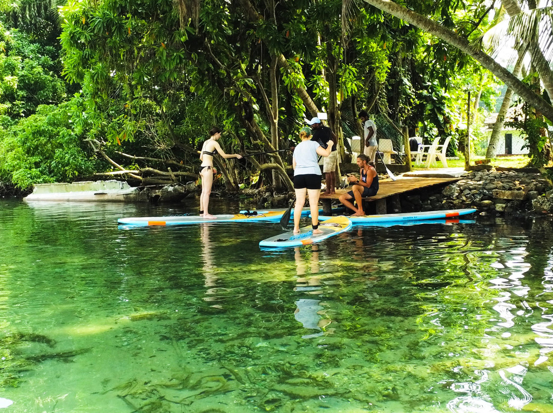 Circus Lagoon Hideaway