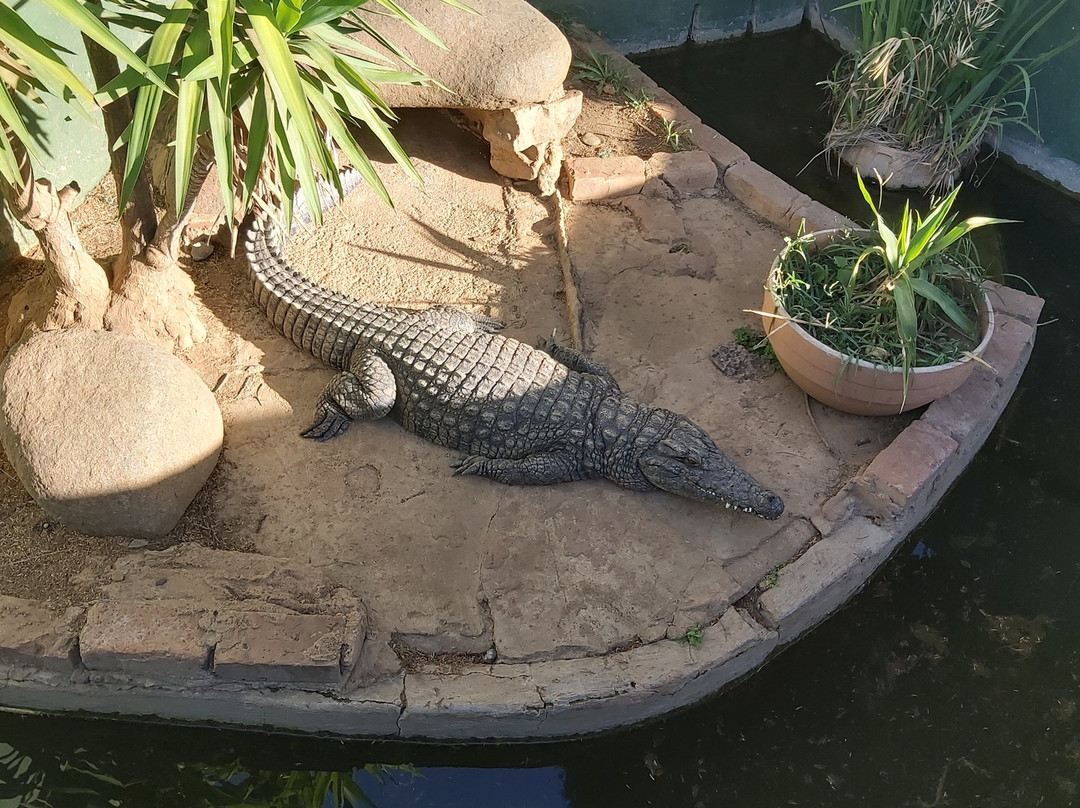Hartbeespoort Aquarium-哈特比斯普特必去景点