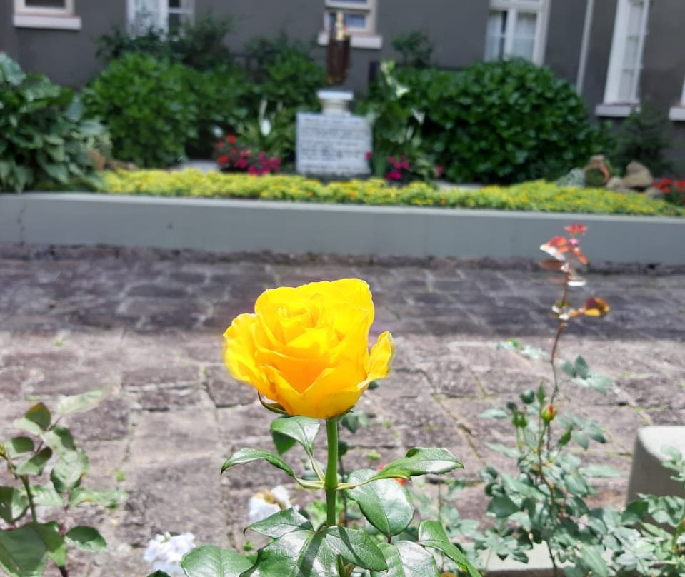 Blumengarten Haus Restaurante e Hospedagem主图