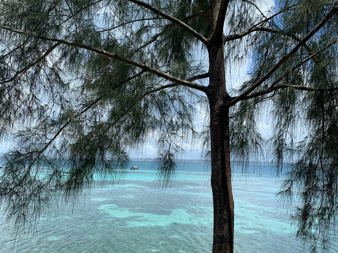 Zanzibar With Cleva-孥归必去景点