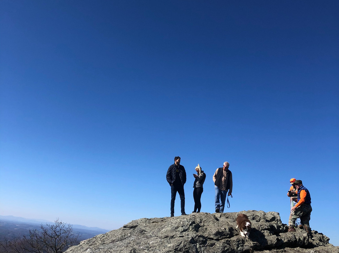Buffalo Mountain Natural Area Preserve景点图片