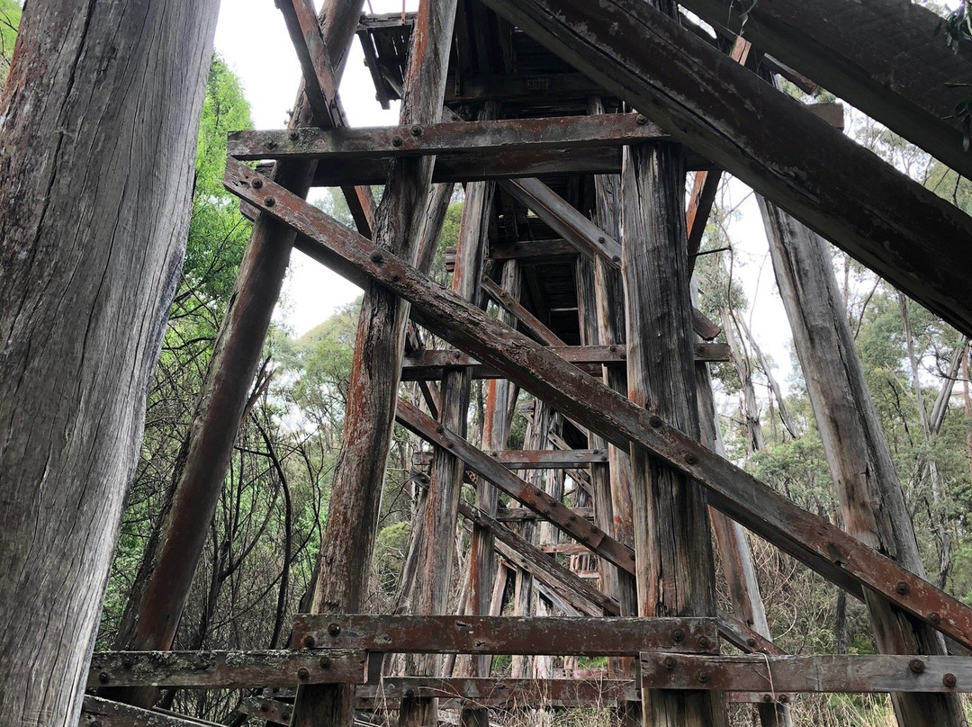 Koetong Trestle Bridge-Koetong必去景点
