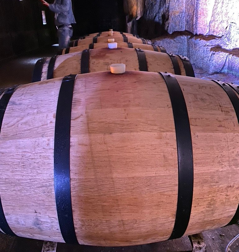 Le Relais de Franc Mayne主图