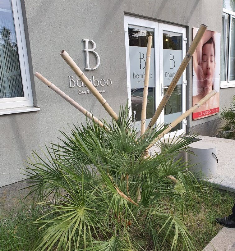 Bamboo Spa & Hammam-地拉那必去景点