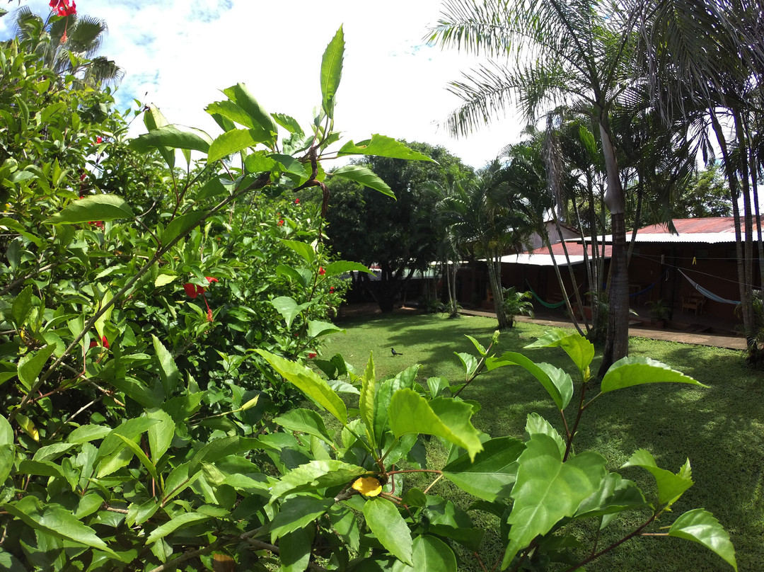 Tsunami Hostel主图