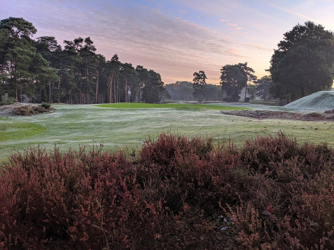 Camberley Heath景点图片