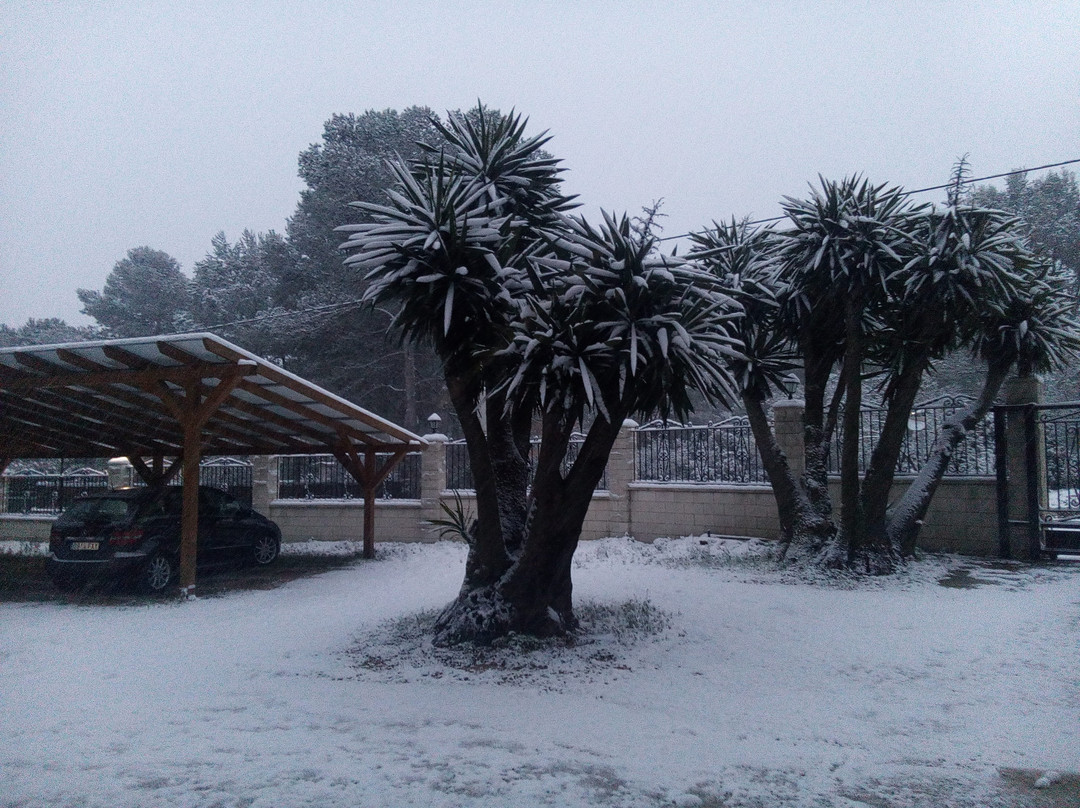 Hotel Rural Bonestar主图