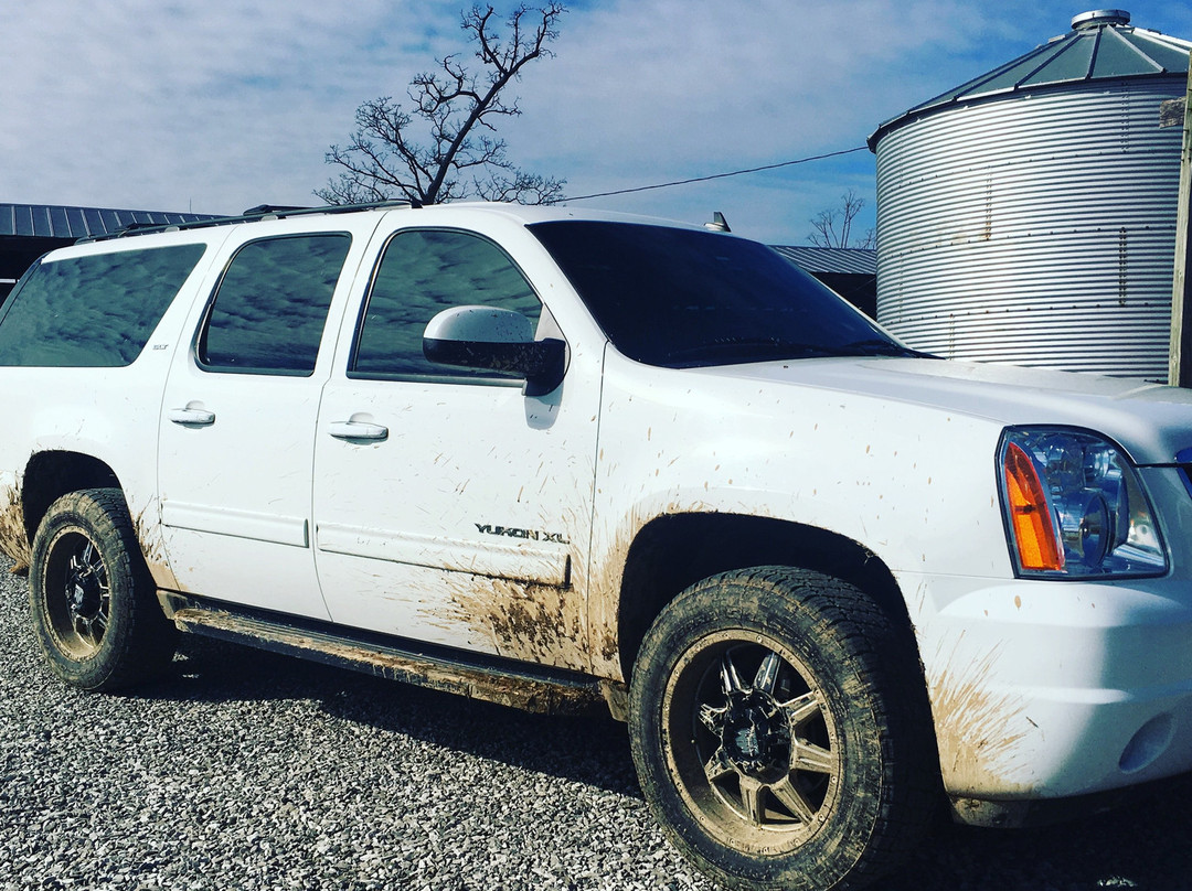 Rabbit Circle-纳什维尔必去景点