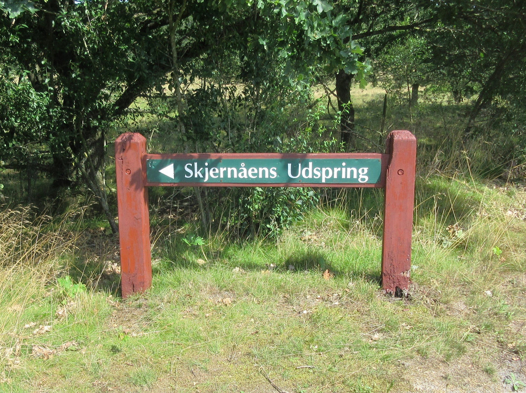 Skjernaens Udspring景点图片