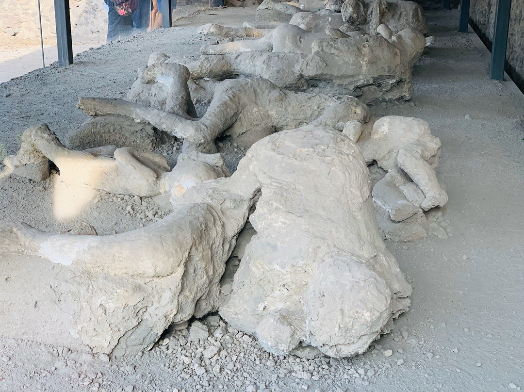 Museo Vesuviano Giovan Battista Alfano-庞贝必去景点
