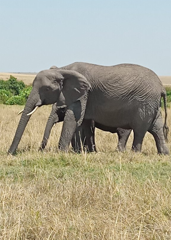 Smile to Africa Adventure景点图片