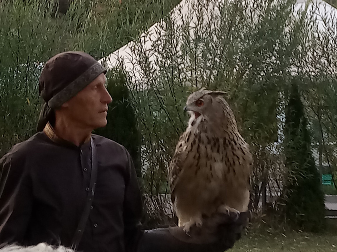 Falcon Farm Sunkar-阿拉木图必去景点