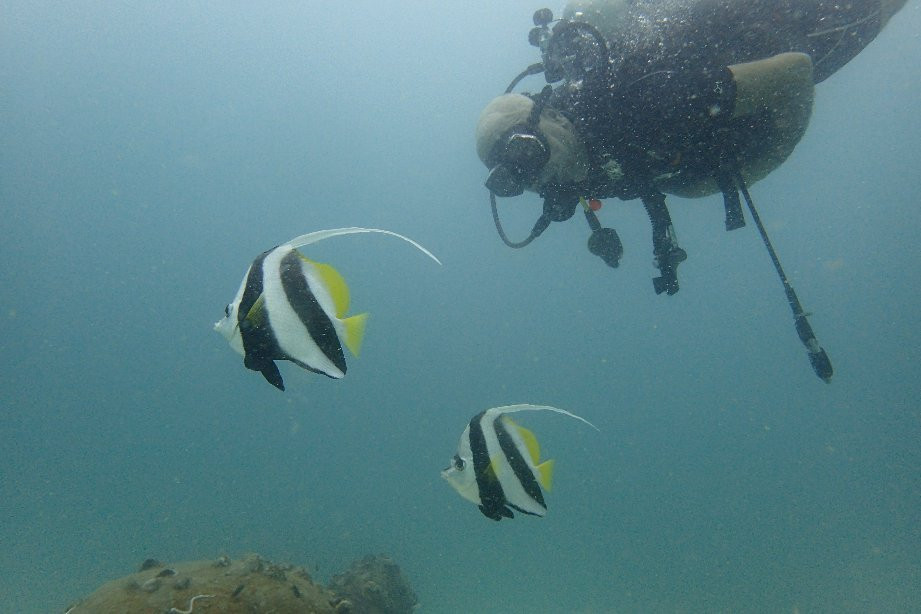 France Plongee-苏梅岛必去景点