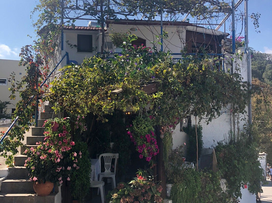 Safari4U-雷斯蒙必去景点