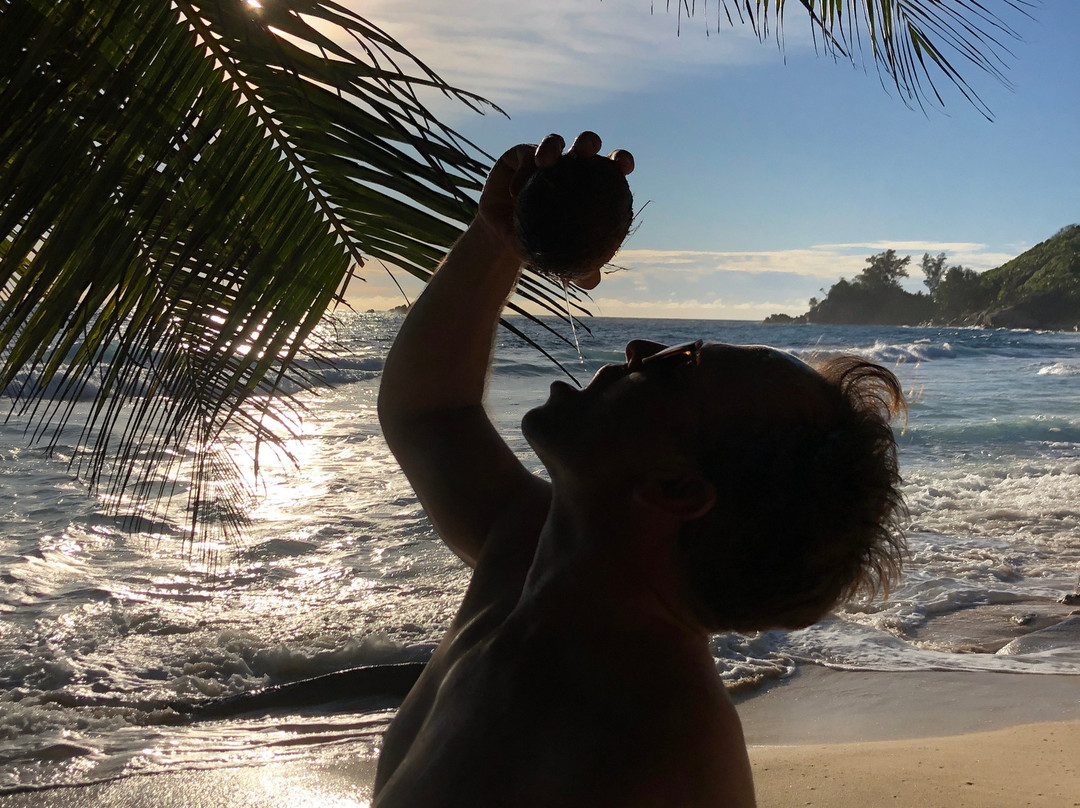 Domaine Desaubin Luxury Villas主图