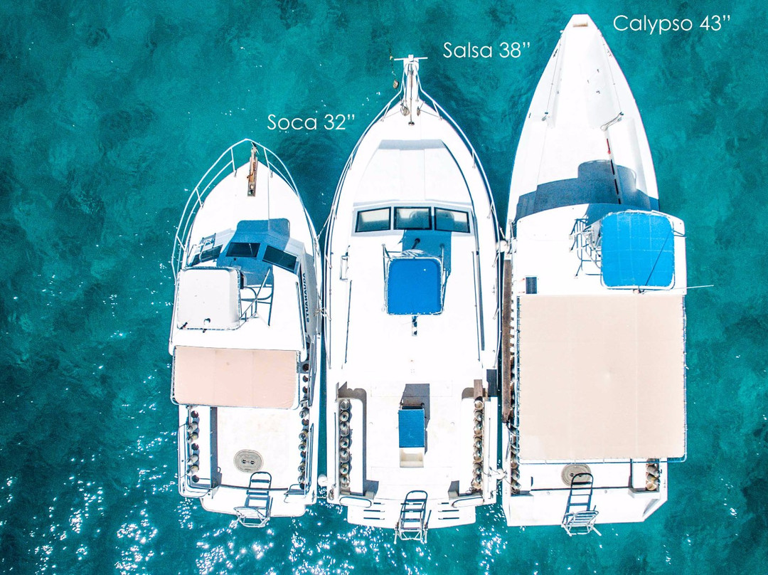 Aquanauts Grenada-True Blue必去景点