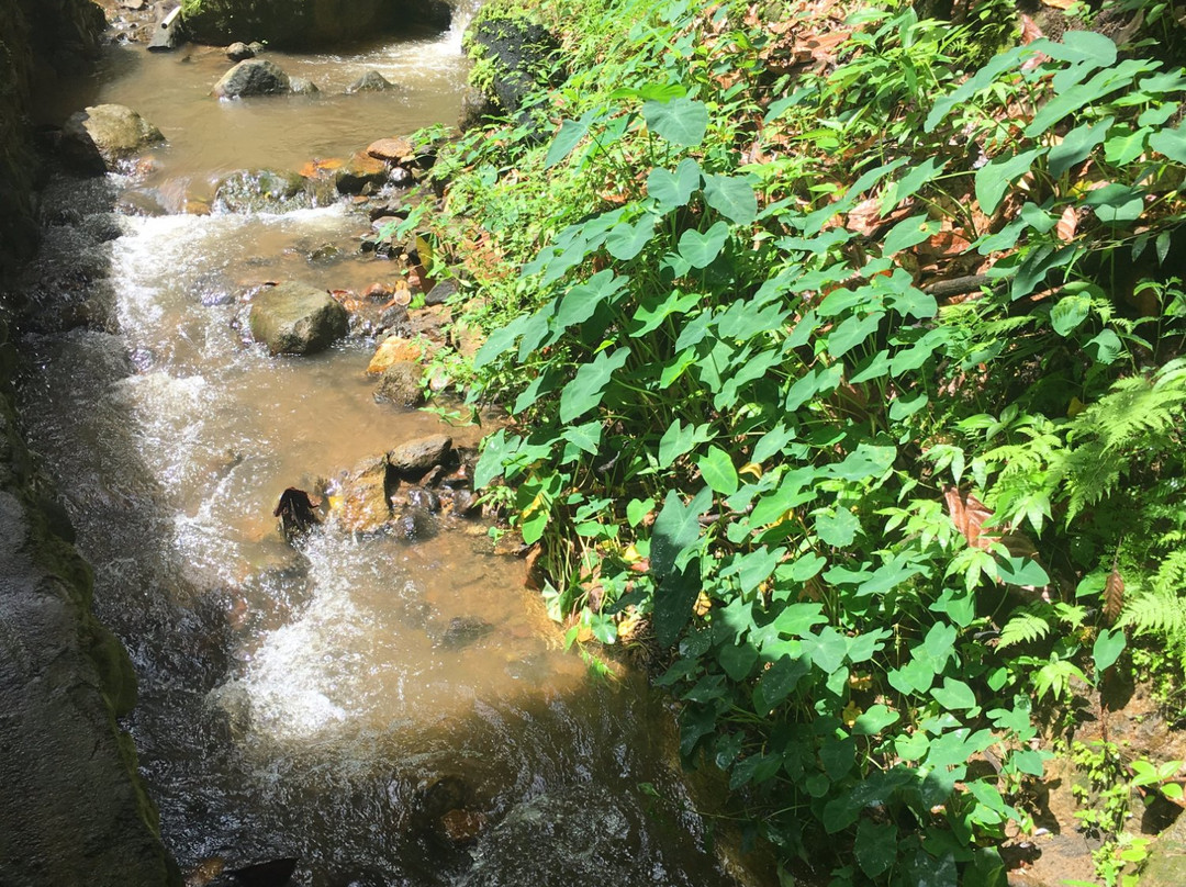 罗索旅游景点-Tia's Hot Spa