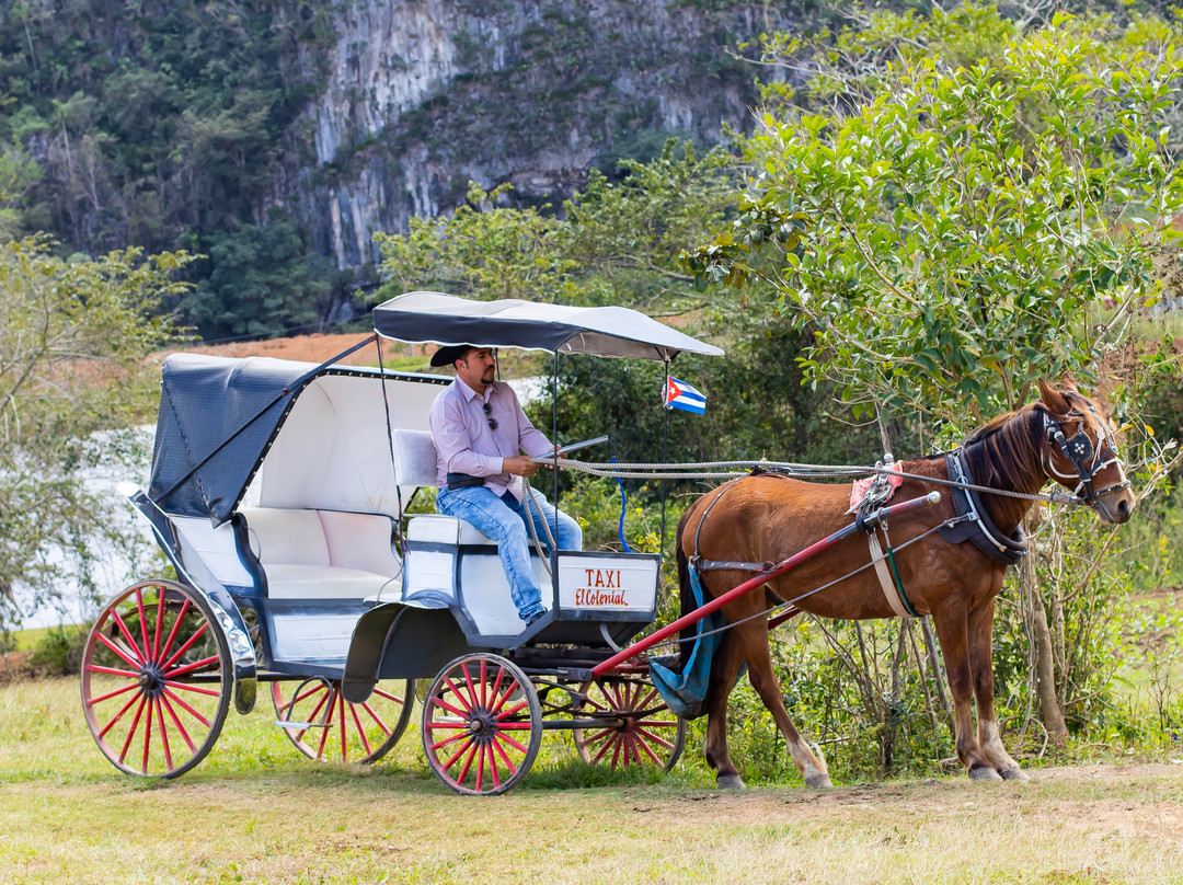 Viajando en el Tiempo-维纳勒斯必去景点
